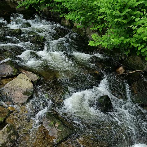 Free Photo River Fluent Flow Water Stones Black Forest Hippopx