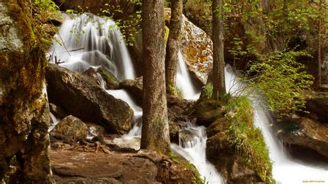 Скачать обои природа водопады водопад река лес из раздела Природа