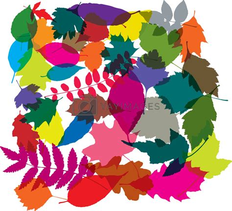 Vector Colorful Background Of Leaves By Freesoulproduction Vectors