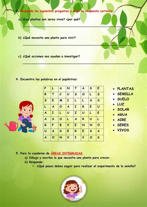 Indagamos Qué Necesitan Las Plantas Worksheet Live Worksheets