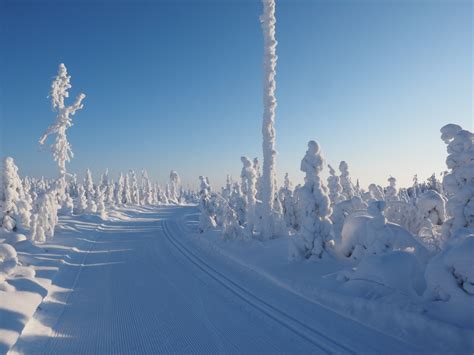 Porttivaara Ski Tour 19 Km Vuokatti Finland Cross Country Skiing