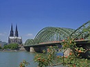 Strauch vor Hohenzollernbrücke Foto - Galerie aller Fotos von Köln