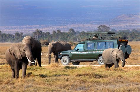 Maasai Mara National Reserve Kenya Safari Destinations