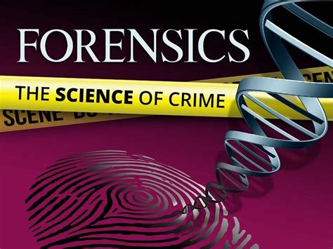 Forensics Là Gì Những điều Cần Biết Về Ngành Pháp Y