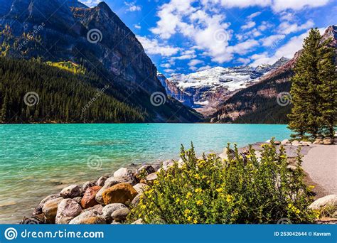 The Picturesque Lake Louise In Banff Stock Photo Image Of Forest