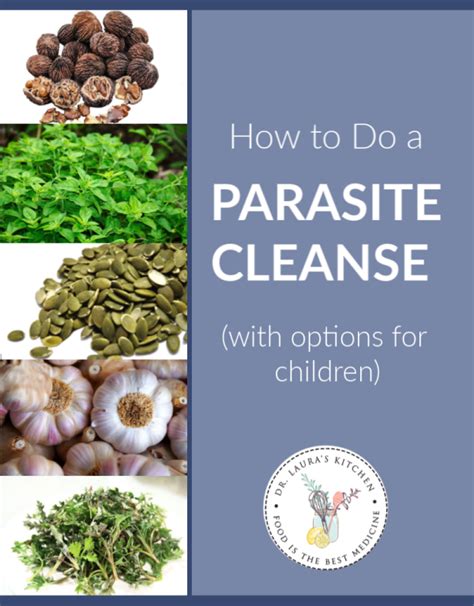How To Do A Parasite Cleanse With Options For Children Dr Lauras