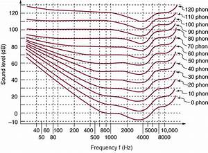 Hearing Physics