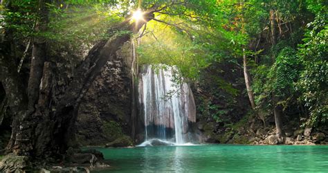 Tropical Paradise Nature Background Peaceful And Tranquil Landscape With Beautiful Waterfall In