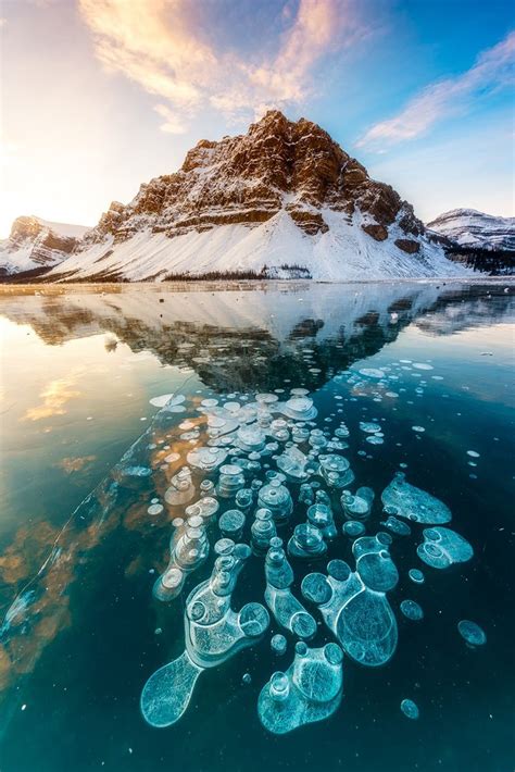 Stunning Frozen Methane Bubbles At Abraham Lake Canada Abraham Lake