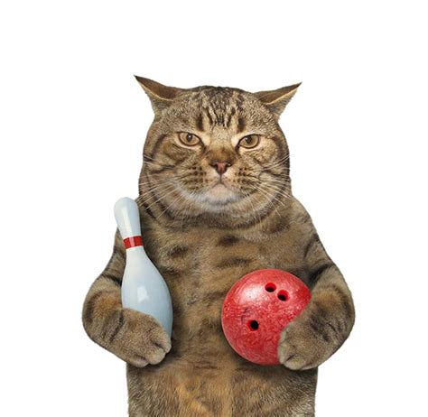 Come on in for some bowling fun and grab a bite to eat from our great menu. This Bowling Fundraiser Is Right Up Our Alley! - Humane ...