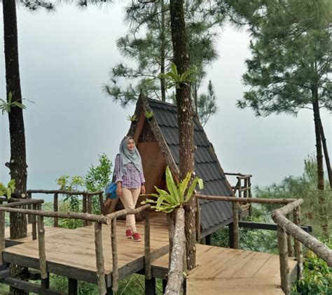Jangan lupa ke sana, ya! 10 Foto Pabangbon Leuwiliang, Wisata Rumah Pohon Paling ...