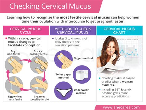 The Consistency Of Cervical Mucus Can Give Accurate Clues On When A