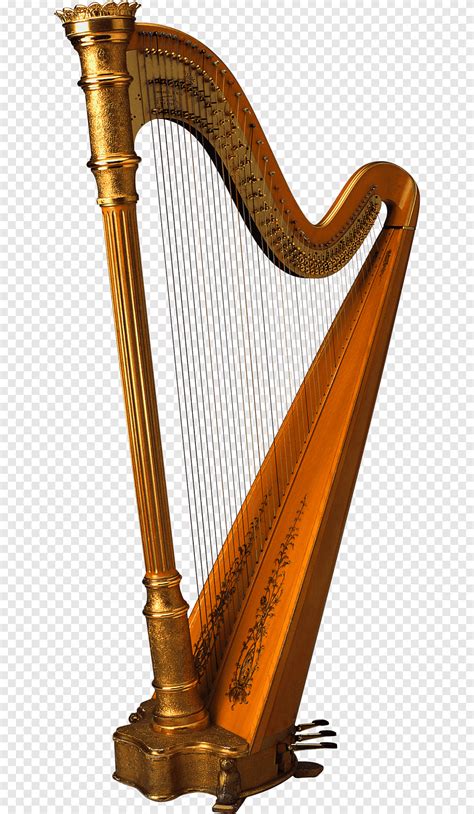 What Is A Harp Harp Facts For Kids Dk Find Out Vlrengbr