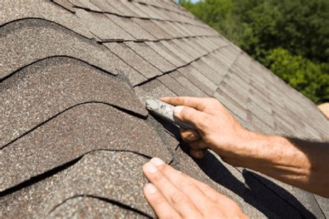Simple Steps For Roof Maintenance All Climate Roofing