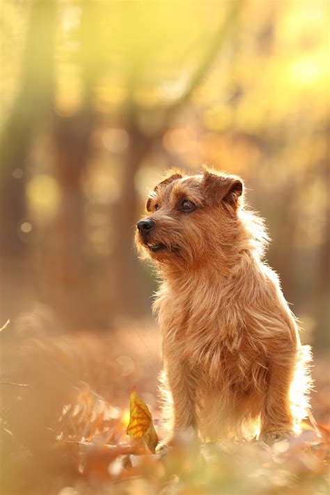 Copyright © 2021 canon india pvt ltd. Canon EOS M50 Sample Images | Camera Rumors