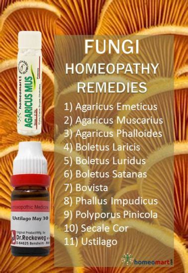 Homeopathy Fungal Medicines List With Indications