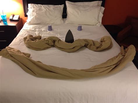 My Aunt Made This On My Hotel Room Bed Hotels Room Bed Room