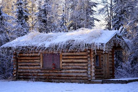 Photo Of The Day Frosty Cabin In North Pole Alaska — Steemit Cabin