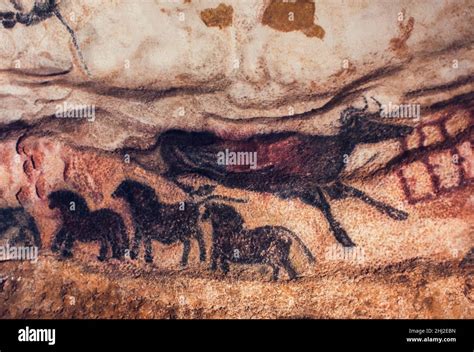 Lascaux Cave Bull Hi Res Stock Photography And Images Alamy