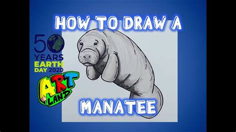 How To Draw A Manatee Youtube