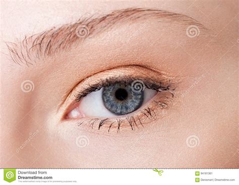 Eye Close Up Beauty With Creative Makeup Stock Image Image Of Face