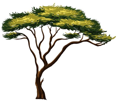 Download High Quality Tree Clipart Jungle Transparent Png Images Art
