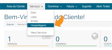 Acessando O CPanel Site Com Br Ajuda