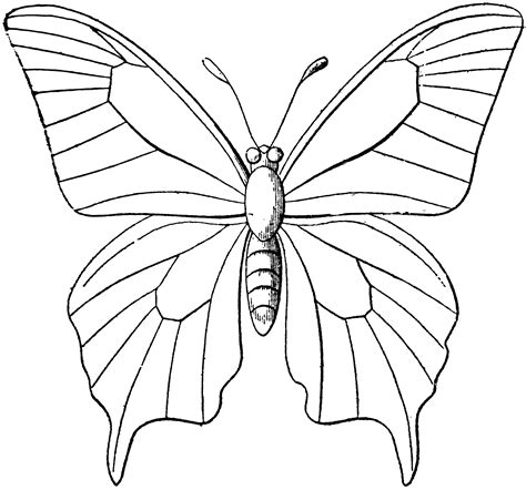 Butterfly Butterfly Clip Art Butterfly Outline Butterfly Coloring Page