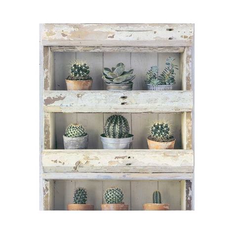 Erismann Cactus Retro Floral Wooden Box Frame Non Woven Wallpaper 7373 07