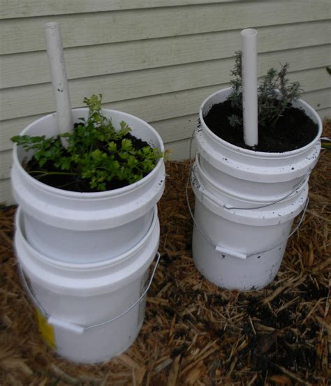 Self Watering Garden Containers 5 Gallon Buckets Upated 82015