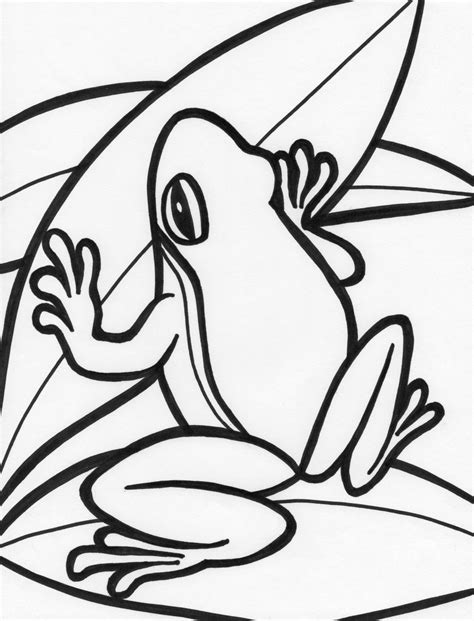 10 Printable Realistic Frog Coloring Pages Aitchaeriesh