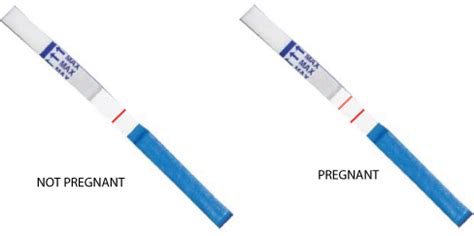 Two lines mean the test is positive and you are pregnant. Different types of pregnancy tests: Urine test, Blood test ...