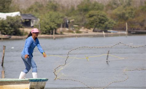 Se Colocan Las Mujeres En El Centro De La Transformación De La Pesca Y
