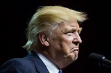 What Drives Donald Trump? Fear of Losing Status, Tapes Show - The New ...