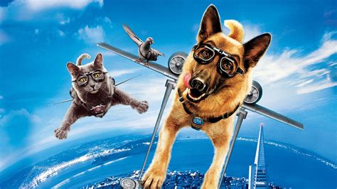 Cats And Dogs The Revenge Of Kitty Galore 2010 Backdrops — The Movie