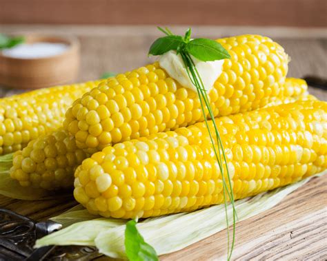 Corn On The Cob Pre Cooked