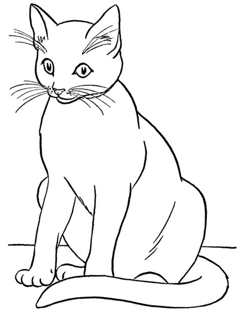 Realistic Black Cat Coloring Pages Free Printable Coloring Pages