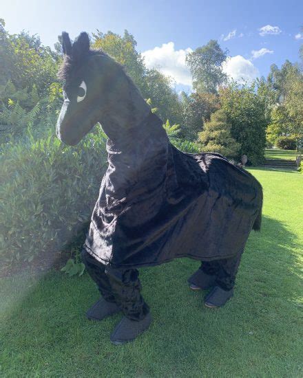 Masquerade Black 2 Man Horse Costume Pantomime Horse Animal Fancy Dress