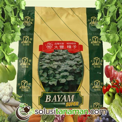 Pot tray penyemaian bibit tanaman sayuran organik untuk perlengkapan. Jual Benih Bayam Hijau " Super " @500gr - Biji Benih ...