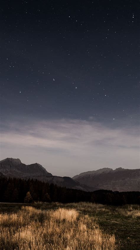 Download Wallpaper 938x1668 Starry Sky Night Stars Grass Mountains