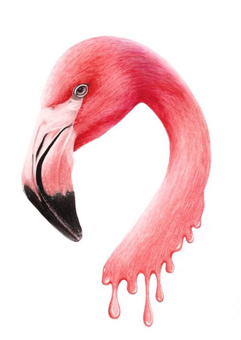 Jasmin Ekström — Flamingo Drawing Made With Graphite Color