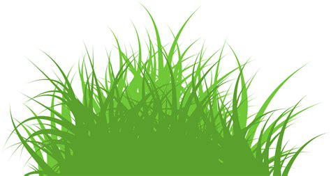 Free Grass Png 16583602 Png
