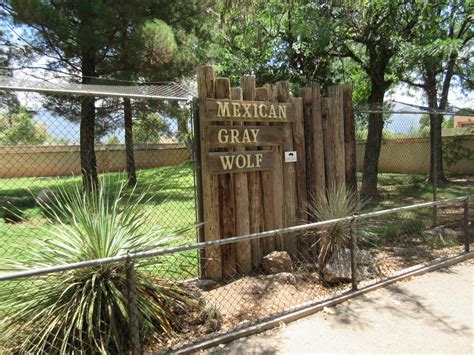 Mexican Grey Wolf Exhibit Zoochat