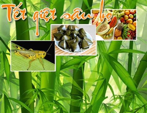 Sâu bọ hàng năm vào ngày này rất hung hăng, vì vậy mỗi năm cứ đến ngày này, hãy làm theo những gì ta dặn và sẽ trị được chúng. Tết Đoan Ngọ Là Gì? Tìm Hiểu Về Tết Đoan Ngọ Là Gì?