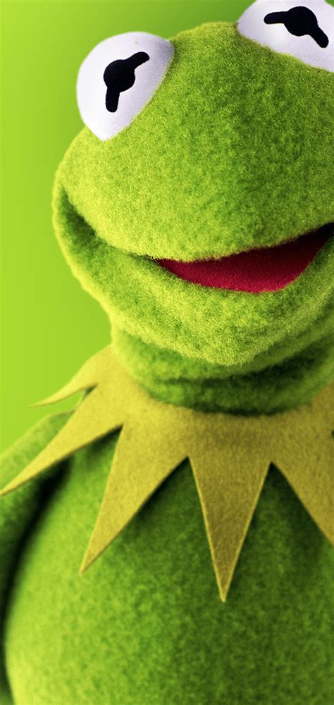N N Ch Kermit The Frog Green Background Th V Cho I N Tho I C A B N