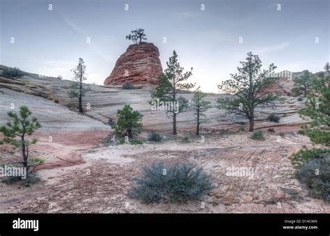 Zion National Park Is Located In The Southwestern United States Near