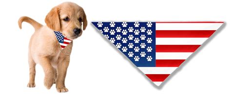 American Flag Dog Bandana