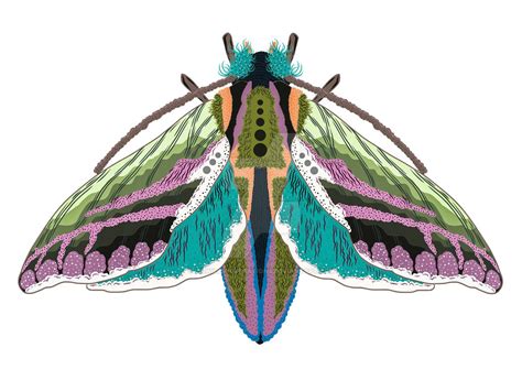Majestic Dark Moth By Lilwillsinspirations On Deviantart