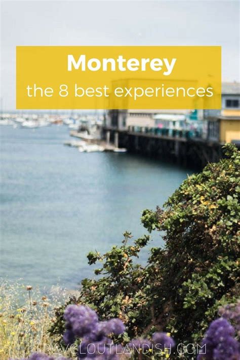 The 8 Best Travel Experiences In Monterey Usa Travel Outlandish