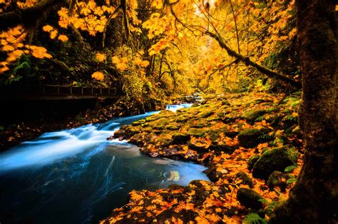 Autumn Stream Desktop Wallpapers